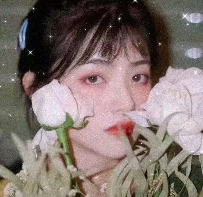 梅珍