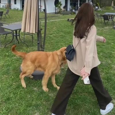 爱摸你爱摸我